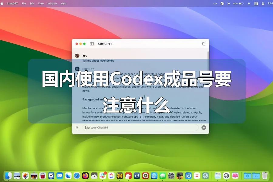国内使用Codex成品号要注意什么