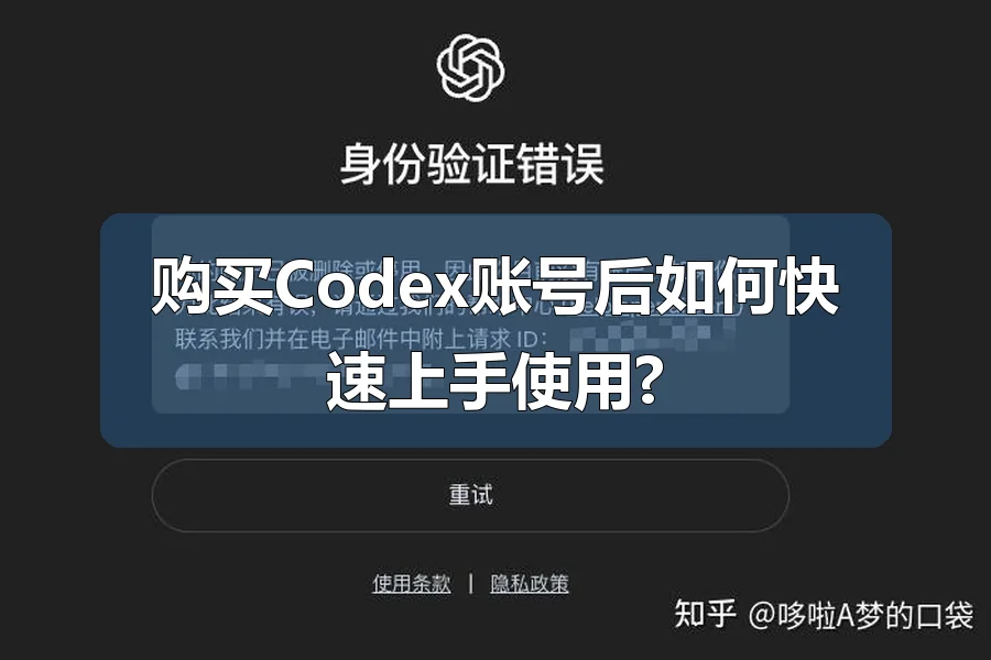 购买Codex账号后如何快速上手使用?