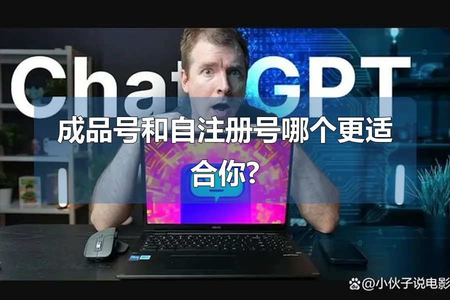 成品号和自注册号哪个更适合你?