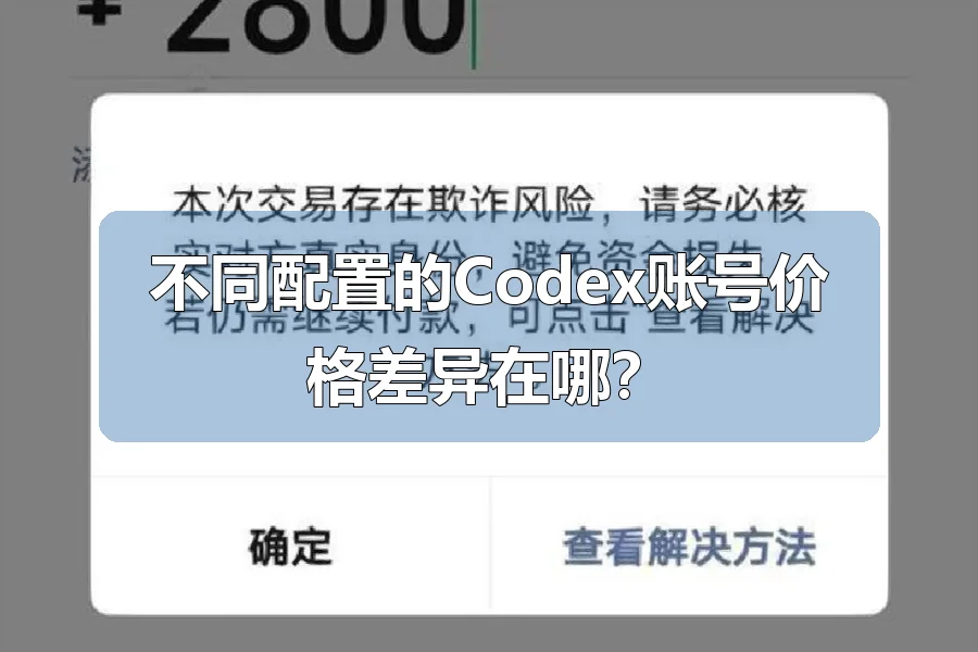 不同配置的Codex账号价格差异在哪？